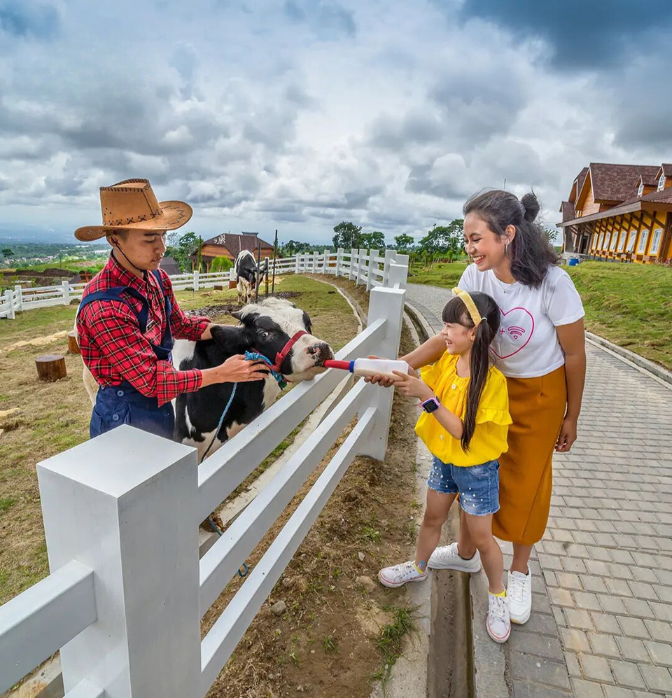 animal-feeding-di-cepogo-cheese-park